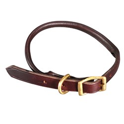 PET2110 L_01